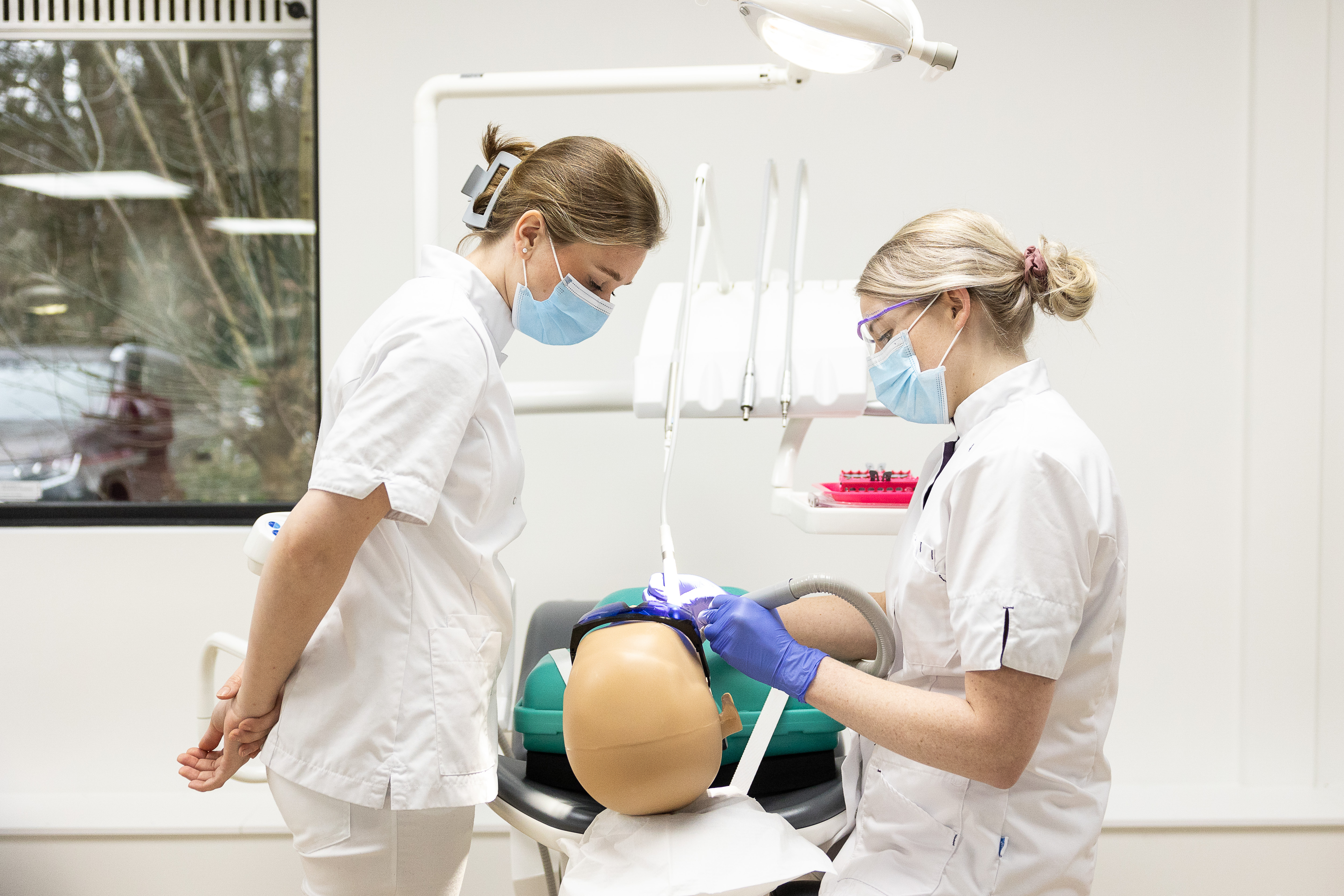 tandarts en assistent kijkend naar gebid patient